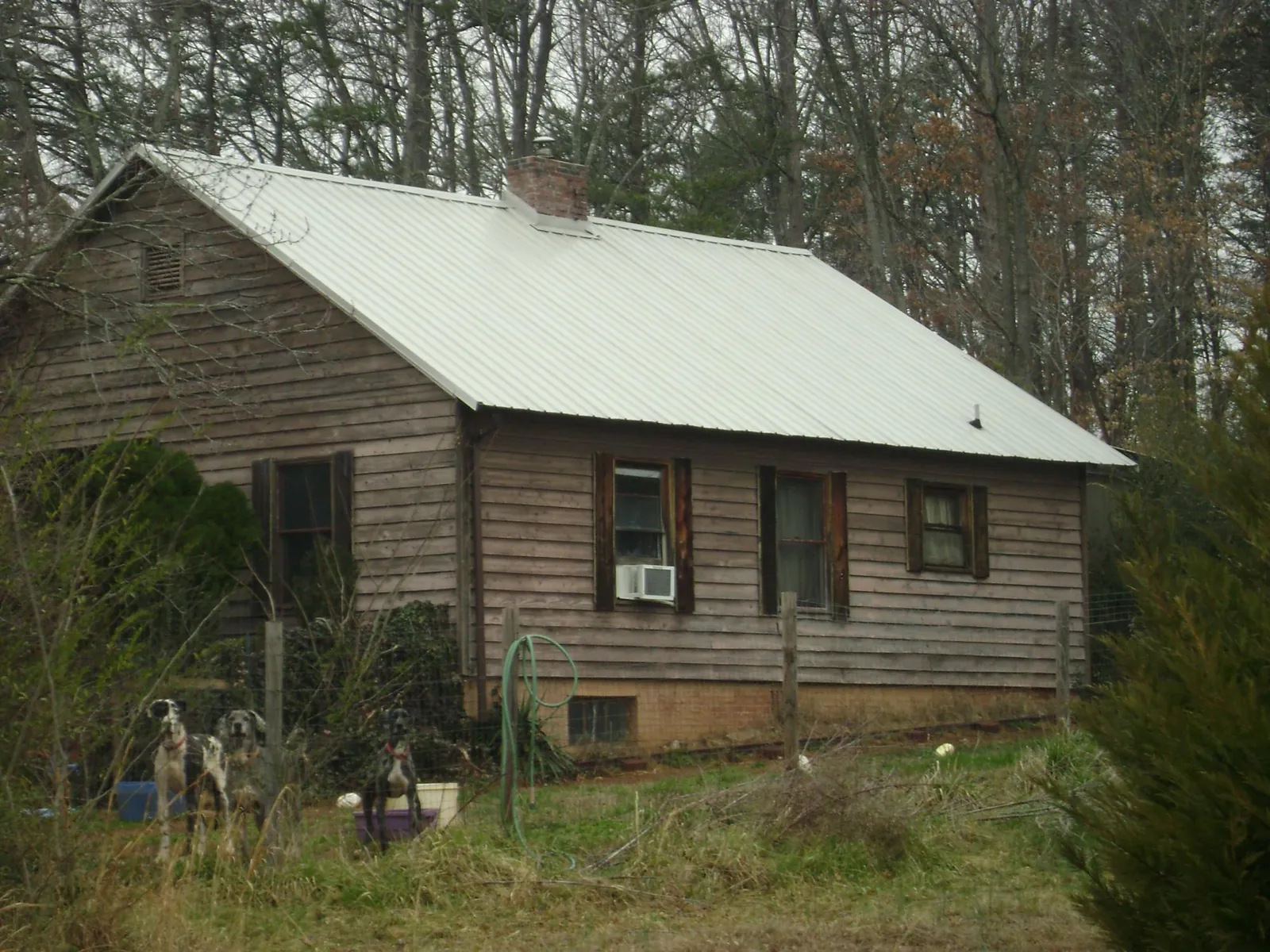 White metal roof on an old wood sided farmhouse, from a Asphalt Shingle Roof Repair job in Allardt